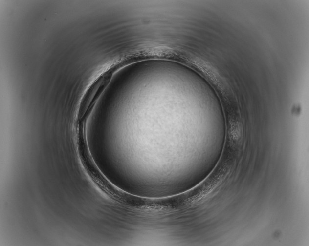 X0000099290630200805090931