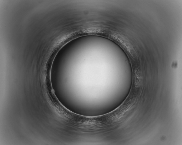 X0000099290631200805090931