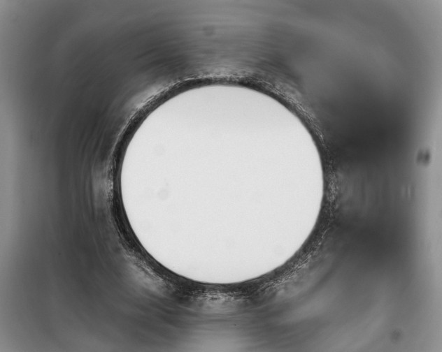 X0000099290632200805090931