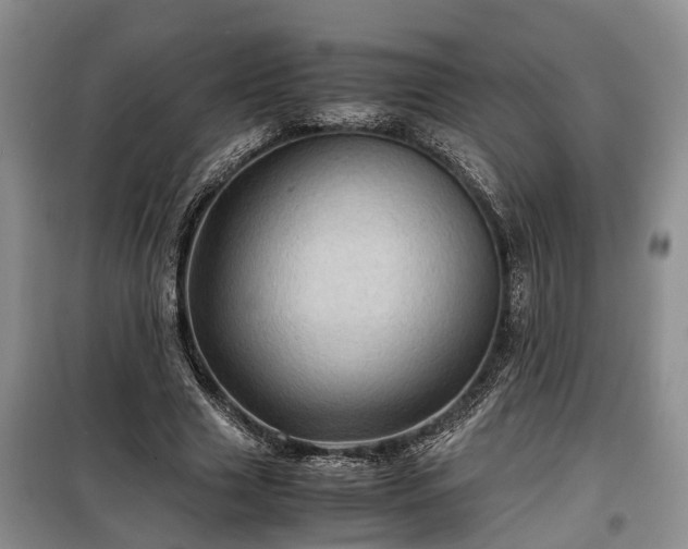 X0000099290633200805090931