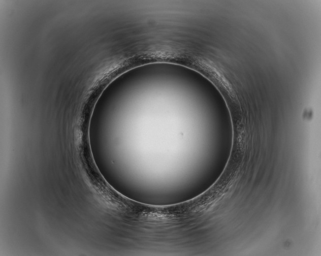 X0000099290635200805090931