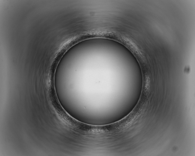 X0000099290636200805090931