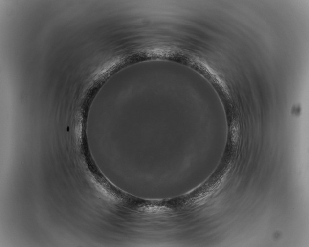 X0000099290637200805090931