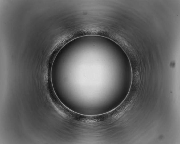 X0000099290638200805090931