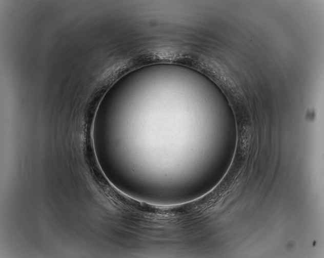 X0000099290639200805090931