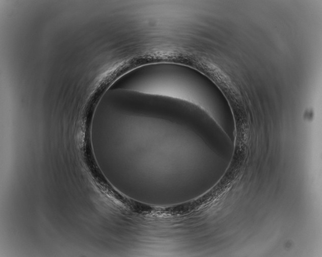 X0000099290640200805090931