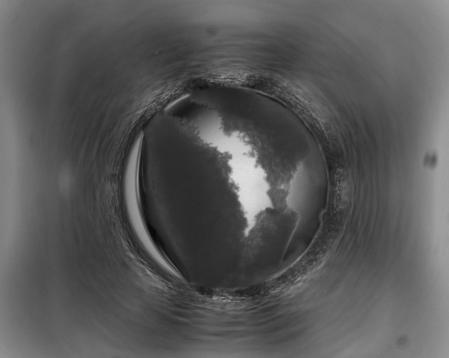 X0000099290641200805090931