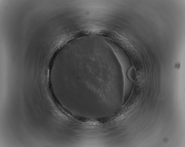 X0000099290642200805090931