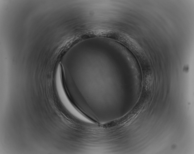 X0000099290644200805090931