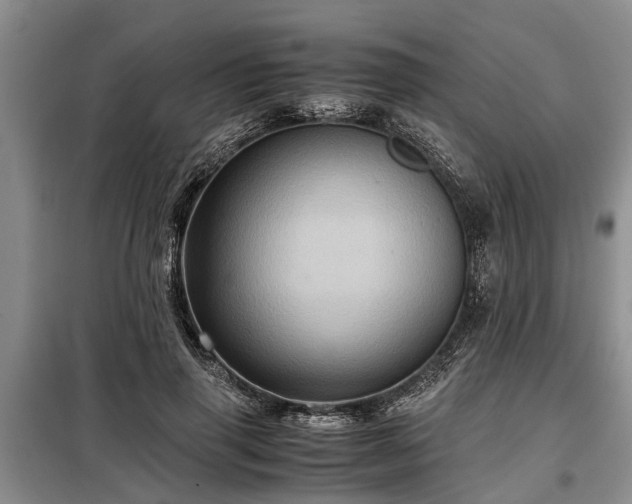 X0000099290645200805090931