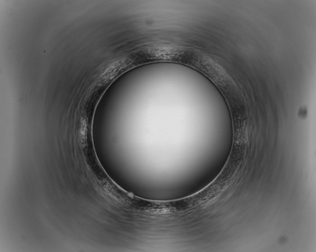 X0000099290646200805090931