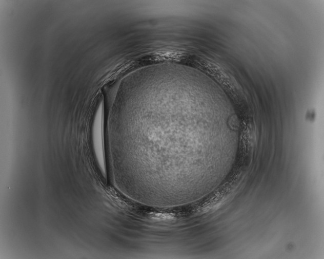 X0000099290649200805090931