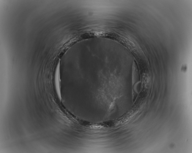 X0000099290650200805090932