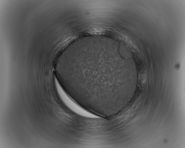 X0000099290652200805090932