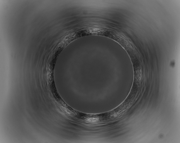 X0000099290653200805090932
