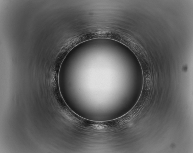 X0000099290654200805090932