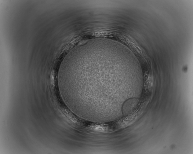 X0000099290655200805090932