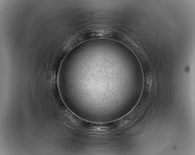 X0000099290657200805090932