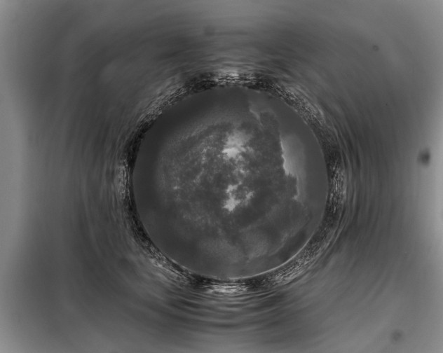 X0000099290659200805090932