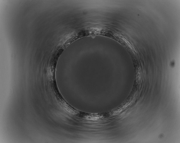 X0000099290661200805090932