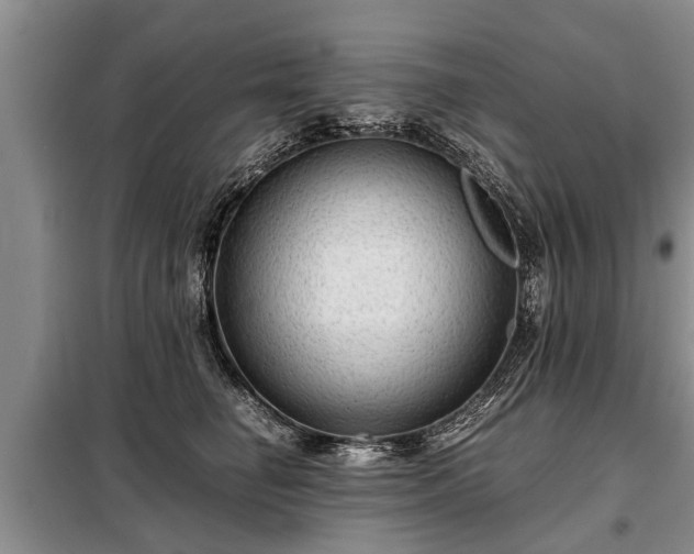 X0000099290662200805090932