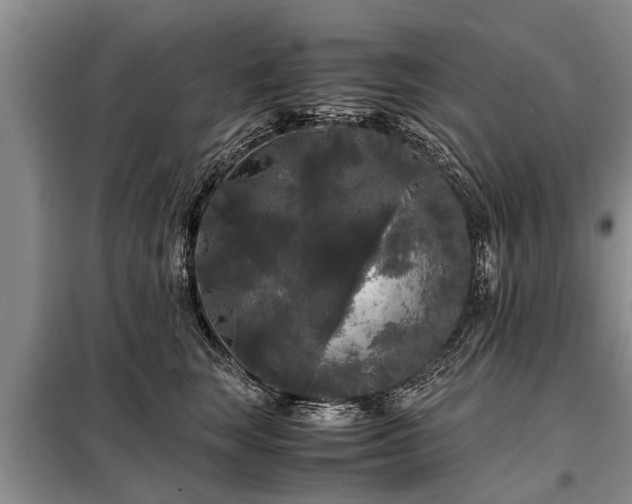 X0000099290663200805090932