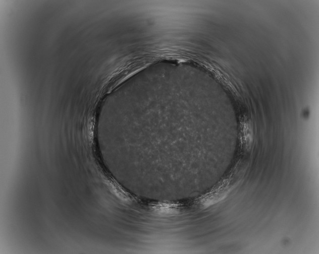 X0000099290664200805090932