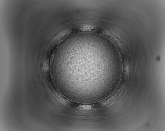 X0000099290665200805090932
