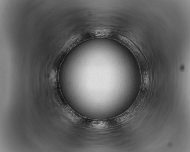 X0000099290667200805090932