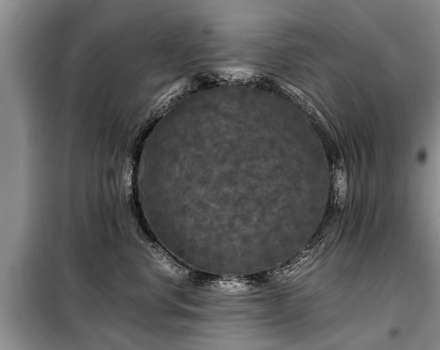 X0000099290668200805090932