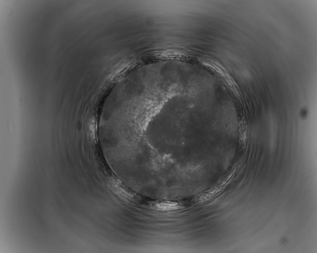 X0000099290669200805090932
