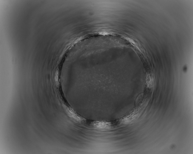 X0000099290670200805090932