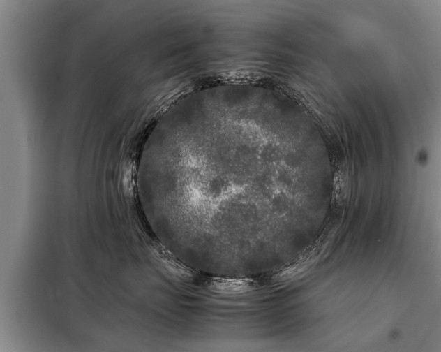 X0000099290671200805090932