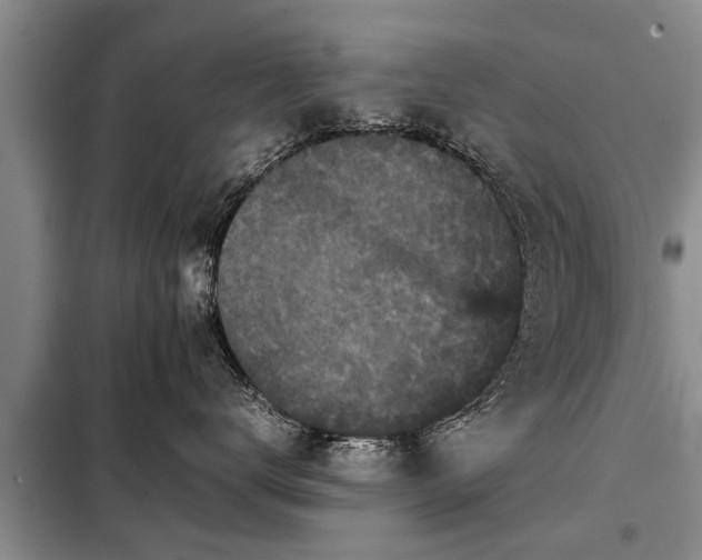 X0000099290672200805090932