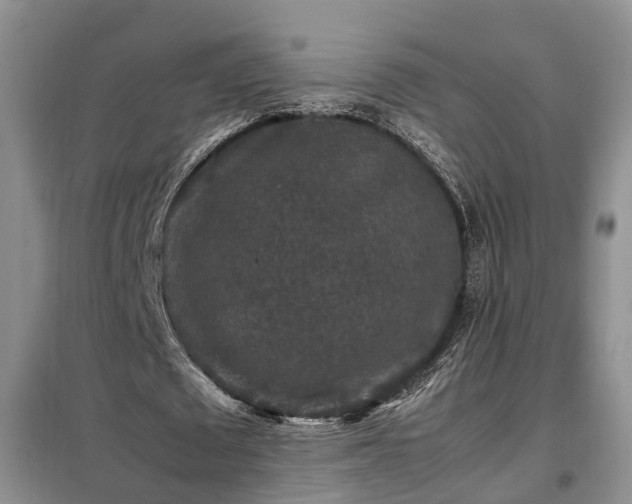 X0000099290673200805090931