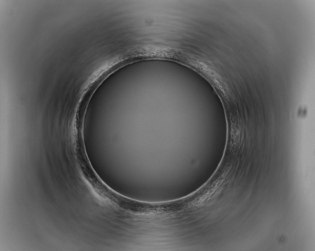X0000099290674200805090931