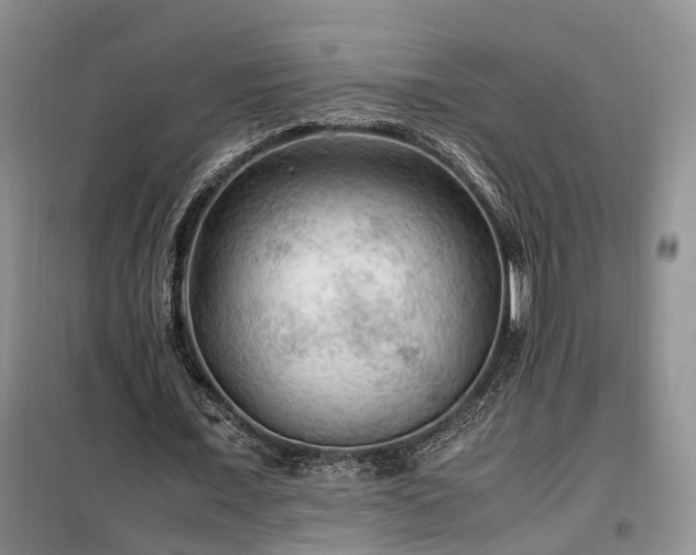 X0000099290675200805090931
