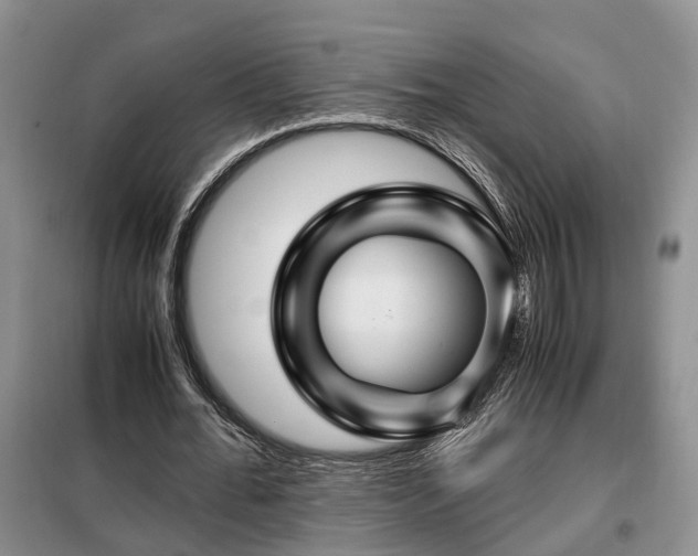 X0000099290676200805090931