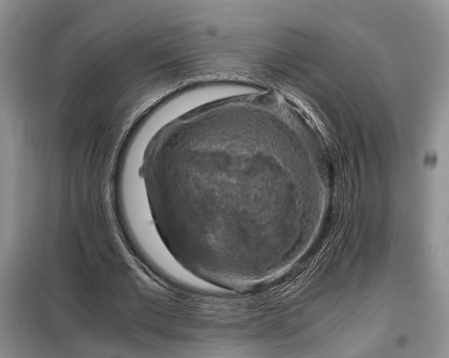 X0000099290677200805090931