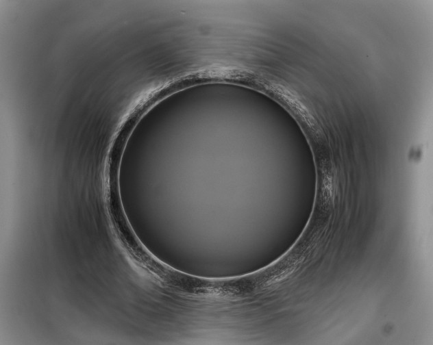 X0000099290678200805090931
