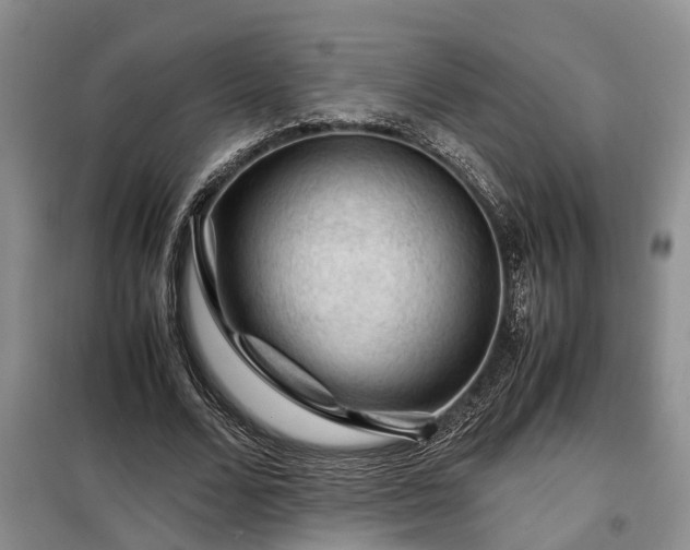 X0000099290680200805090931