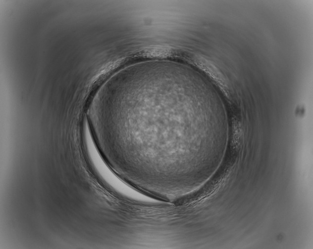 X0000099290681200805090931