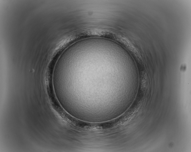 X0000099290683200805090931