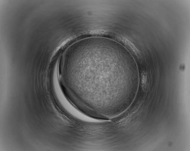 X0000099290684200805090931