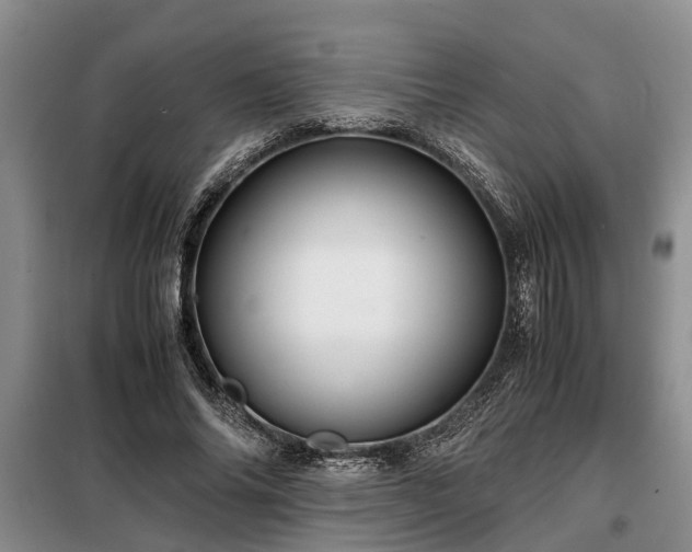 X0000099290686200805090931