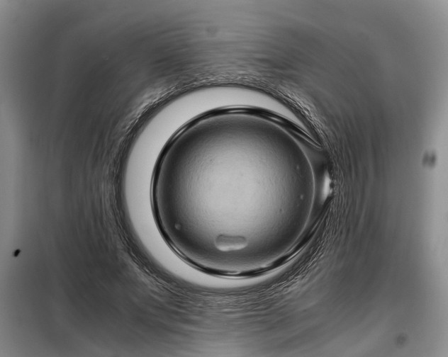 X0000099290687200805090931