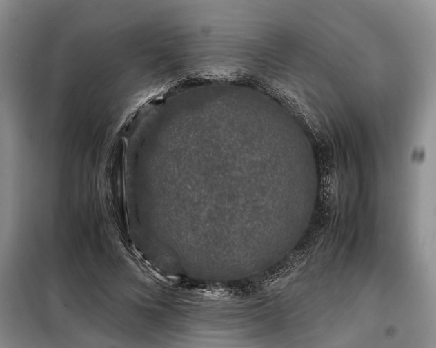 X0000099290688200805090931