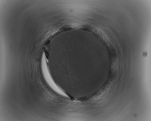 X0000099290689200805090931