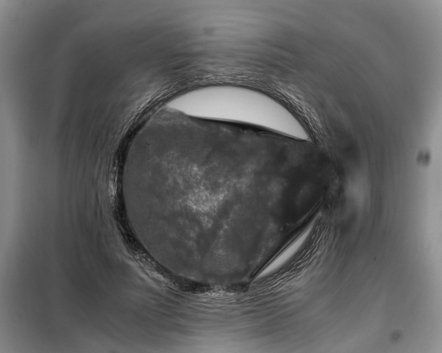 X0000099290691200805090931