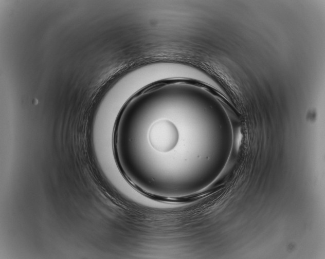 X0000099290692200805090931